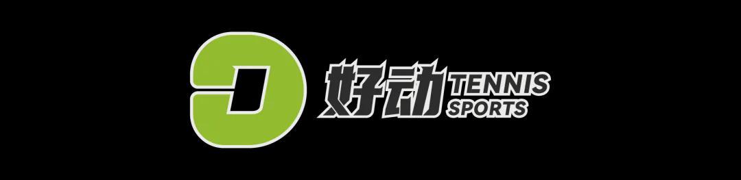 2026世界杯手机观看-史上第二高价格 美网冠军奖杯被拍卖 前世界第一破产后 荣耀也成抵债品